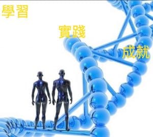 學習、實踐、成就