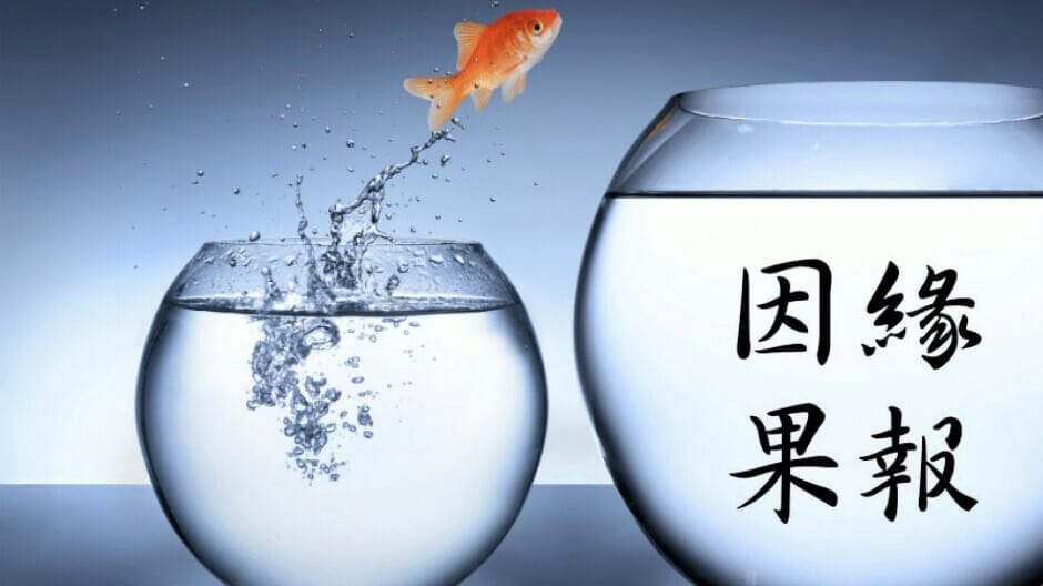 命運 — 因緣與果報