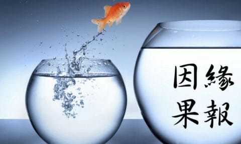 命運 — 因緣與果報