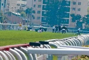 能成為馬主的愛駒幸福嗎