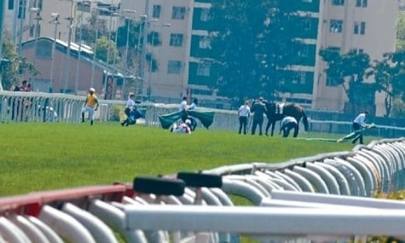 能成為馬主的愛駒幸福嗎