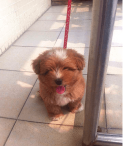 難以忘懷