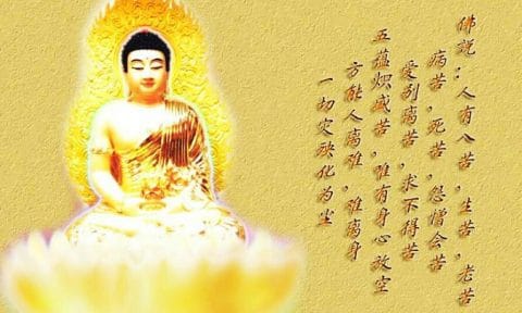 離苦得樂