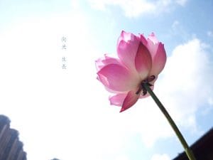 正念攝影