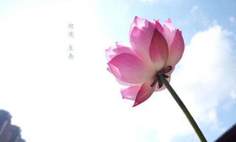 正念攝影