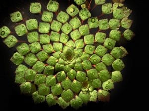 這一生依止H.H.第三世多杰羌佛學習的快樂人生,到底是怎樣得來的
