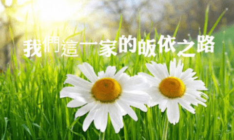 我們這一家的皈依之路