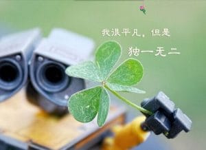 獨一無二的你
