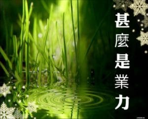 甚麼是業力