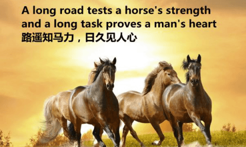 佛教與人生 - 路遙和馬力是好朋友