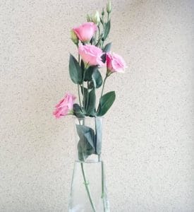 福慧佛系 - 花之寓意