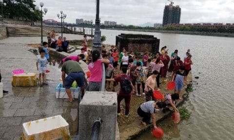 福慧佛系 - 7月陽春行
