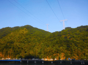 福慧佛系 - 計畫與變化