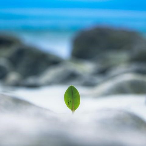 沒想過死神突然造訪1