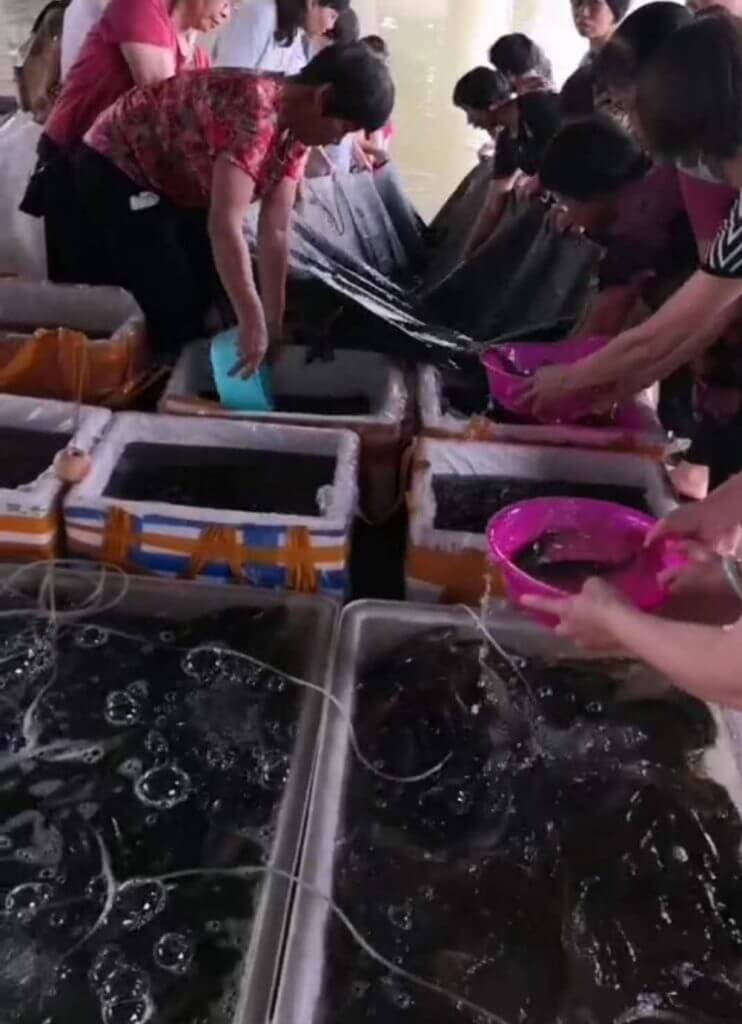 順德碧江第三世多杰羌佛佛放生誕