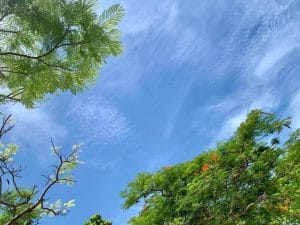 福慧佛系-誠心修行學佛