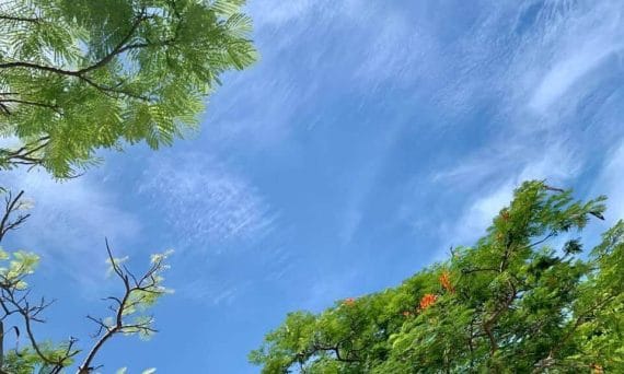 修行學佛頑疾不藥而癒